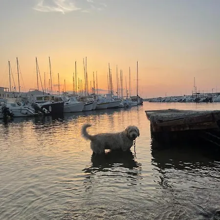 Bilocale House Gaudio 23 - A 1 Minuto Dall'ariston - Wifi Lägenhet Sanremo